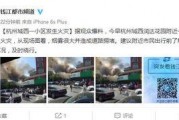 都市频道爆料全部视频下载,揭秘全部视频下载背后的真相