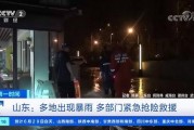 新闻热点事件爆料视频,最新爆料视频深度解析