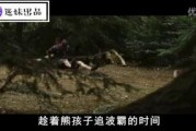 伊甸湖高清在线观看,高清惊悚重现，在线惊悚盛宴
